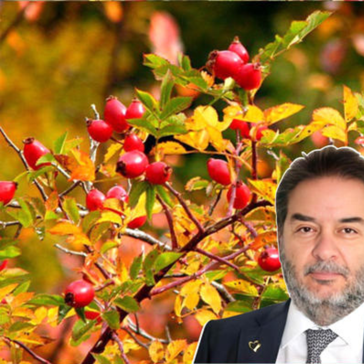 Prostacare